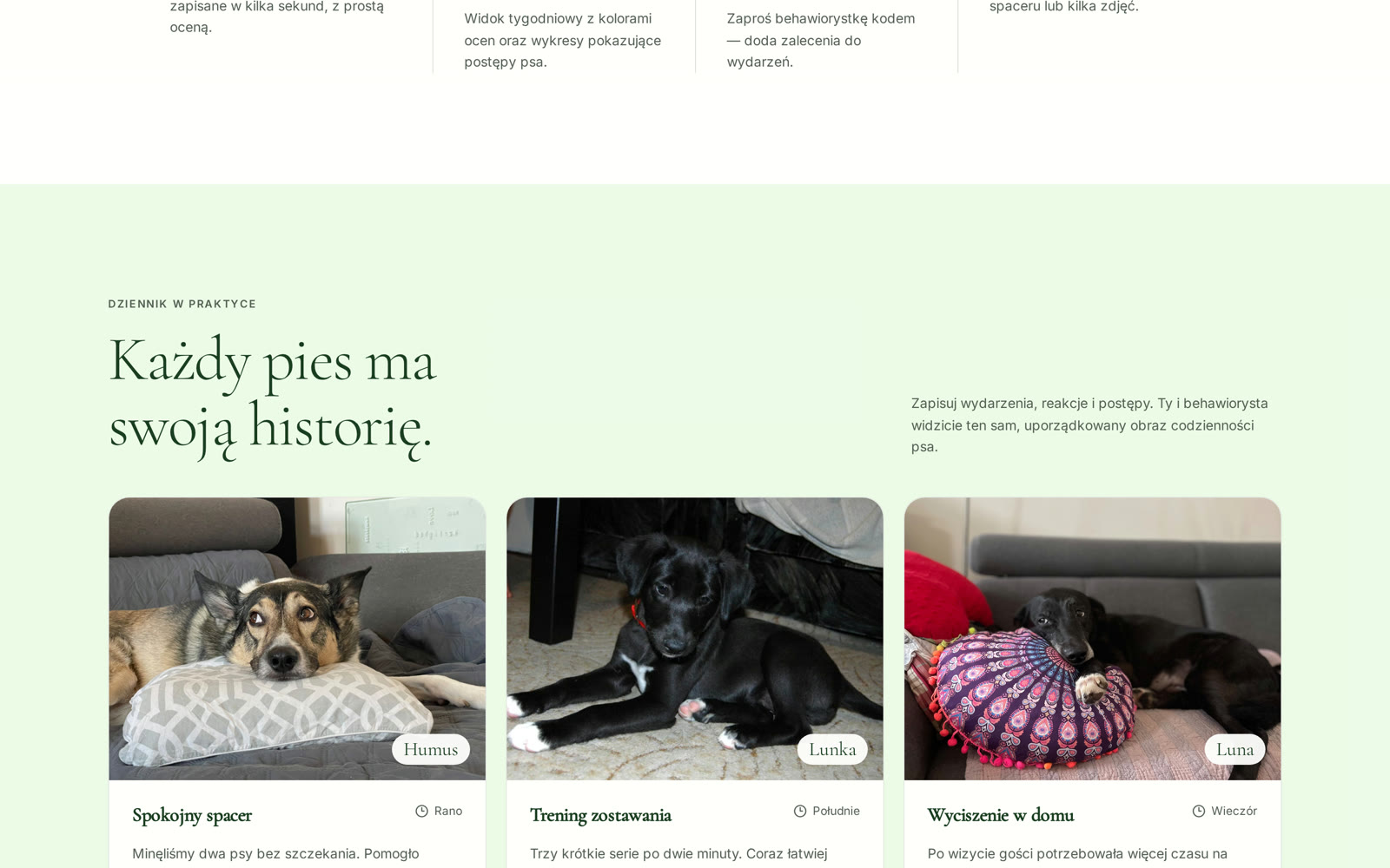 “Every dog has its story” — real journal entries from Humus, Lunka and Luna.